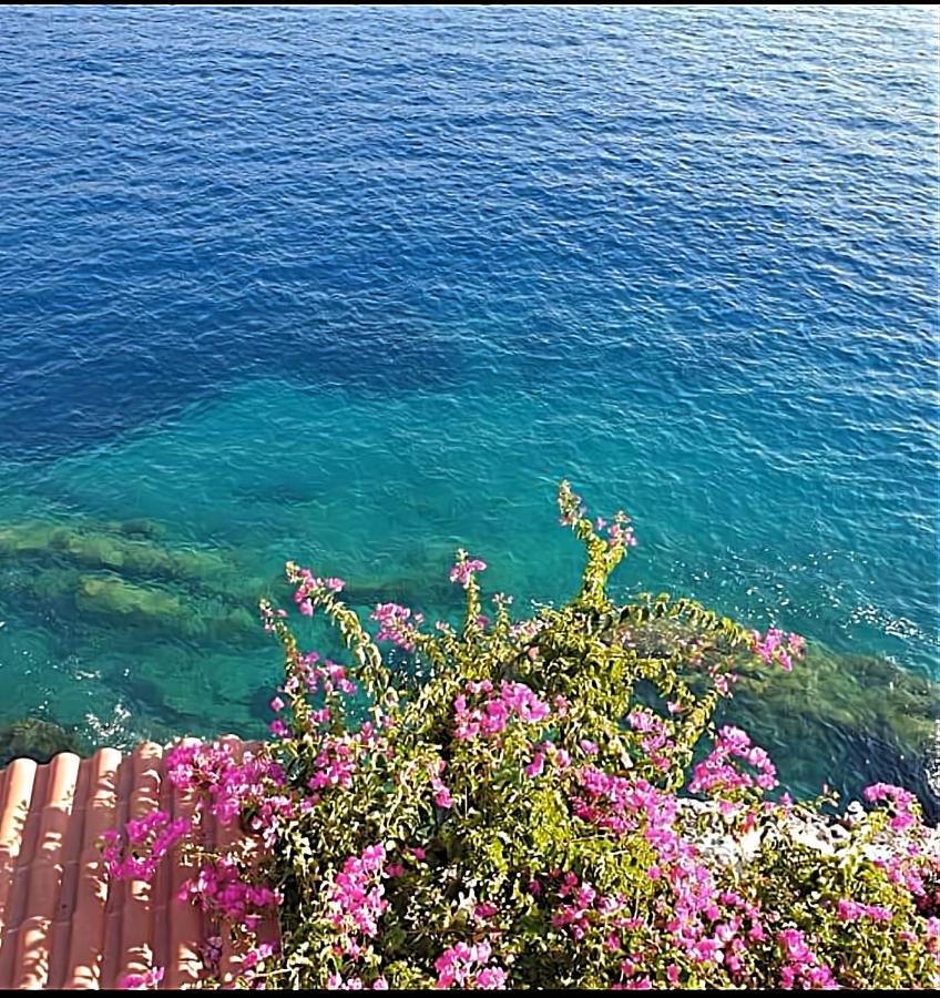 Panorama Διαμέρισμα *